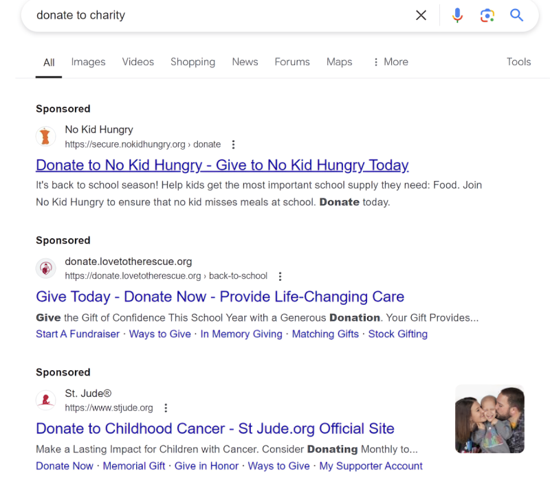 What do Google Grant Ads look like_